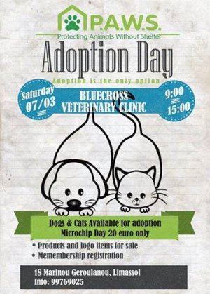 Cyprus : P.A.W.S' Adoption Day