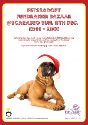 Cyprus : Pets2Adopt Xmas Fundraiser Bazaar