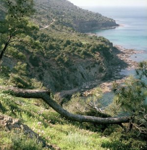 Cyprus : Akamas Spring 2010