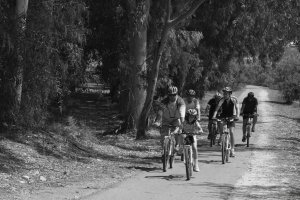 Cyprus : A ride in the park