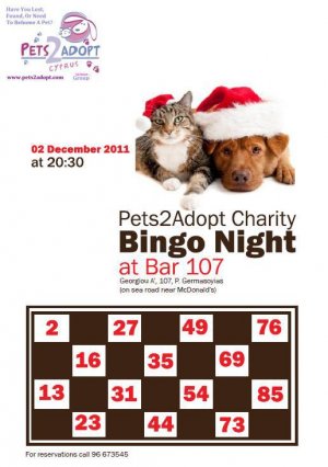 Cyprus : Pets2Adopt Charity Bingo Night