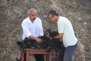 Cyprus : Charcoal Project