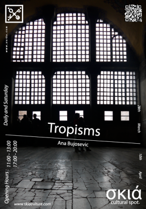 Κύπρος : Tropisms - Ana Bujosevic