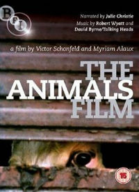 Cyprus : The Animals Film