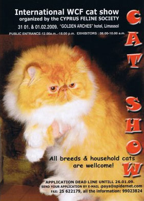 Cyprus : International Cat Show