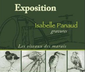 Κύπρος : Isabelle Panaud