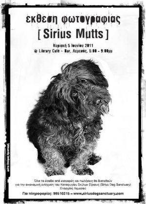 Cyprus : Sirius Mutts  | Fundraising Photo Exhibition | by Spiro Christofi