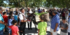 Cyprus : 6th Traditional Festival